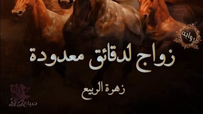 رواية زواج لدقائق معدودة الفصل الحادي عشر 11 كاملة بقلم زهرة الربيع 