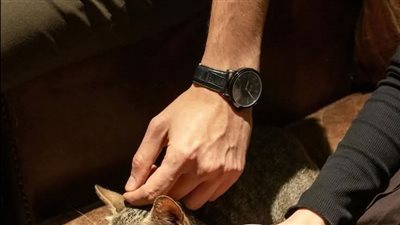 كانت زوجتي الملاك المثالي للعالم ولكن في إحدى الليالي