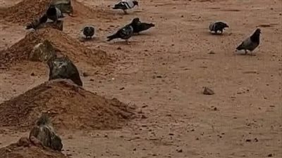 تبدأ هذه القصة في الأردن وتحديدًا في شهر فبراير من عام 2018