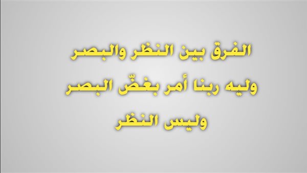 لمحة نيوز