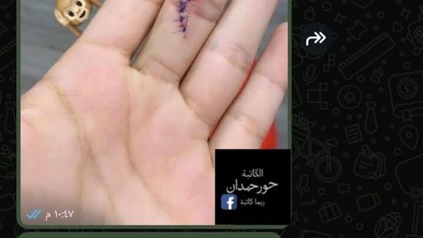 لمحة نيوز